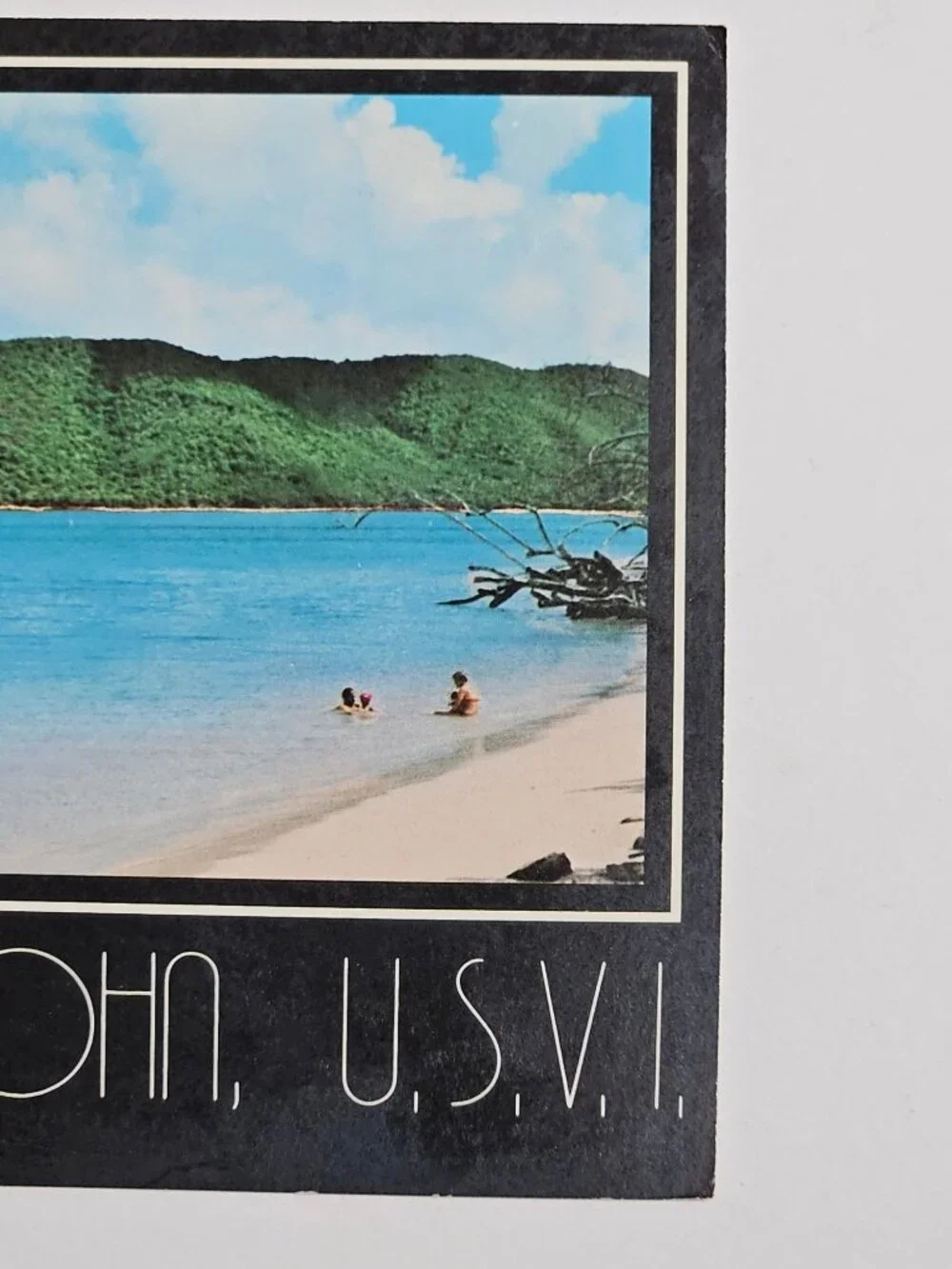 Greetings St Thomas St John Virgin Islands Postcard